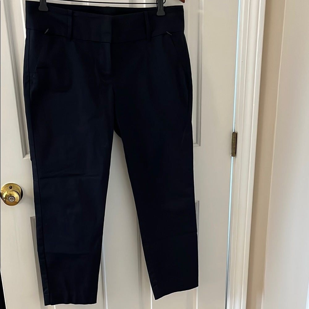 Ann Taylor Navy Trousers. Size 8